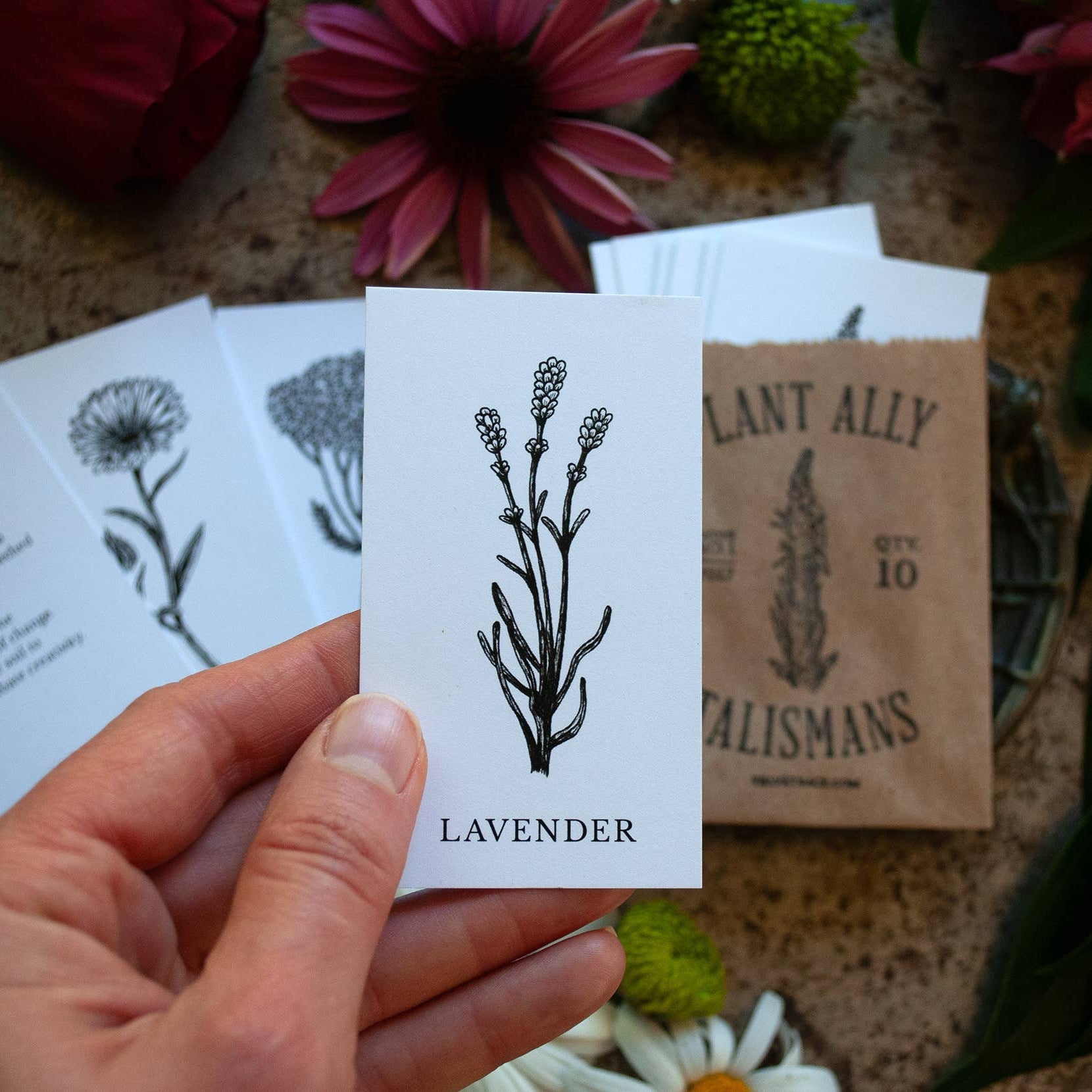 Plant Ally Talisman Cards | Vol 1 - DIGS