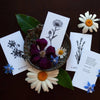 Plant Ally Talisman Cards | Vol 1 - DIGS
