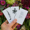 Plant Ally Talisman Cards | Vol 2 - DIGS