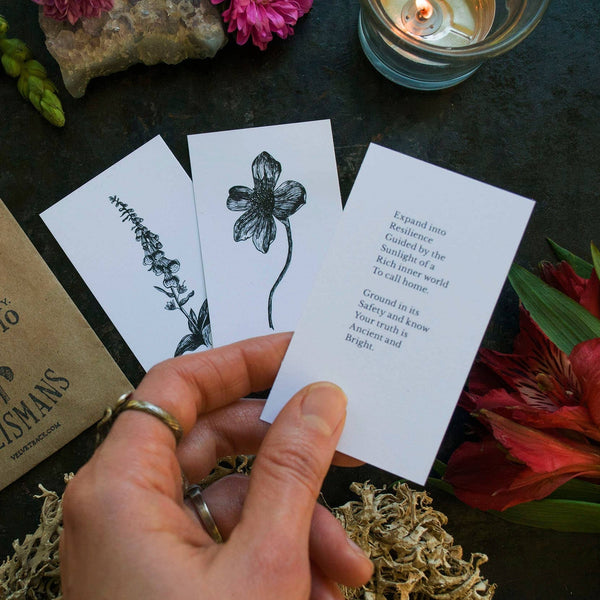 Plant Ally Talisman Cards | Vol 2 - DIGS