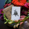 Plant Ally Talisman Cards | Vol 2 - DIGS