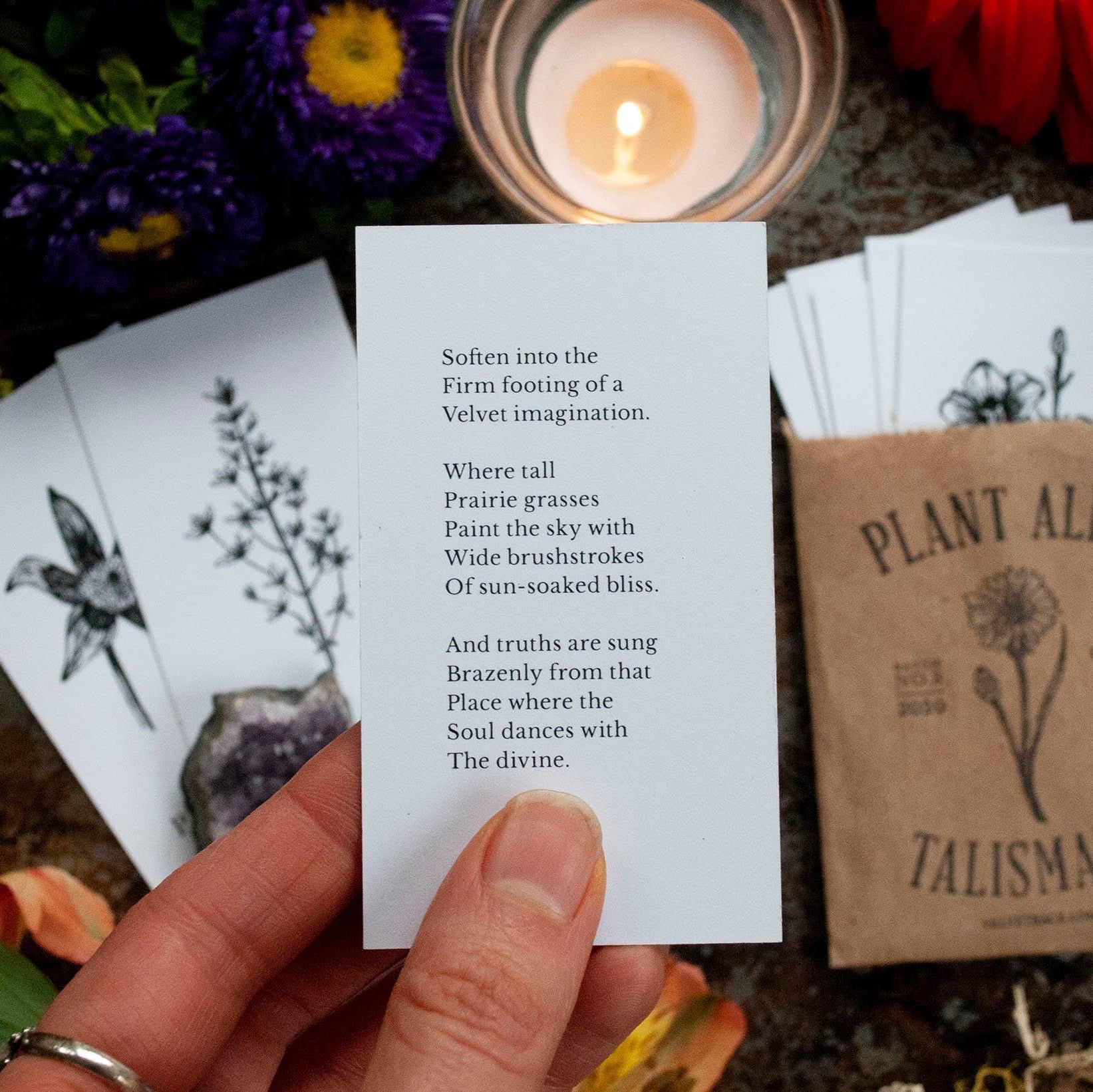 Plant Ally Talisman Cards | Vol 3 - DIGS