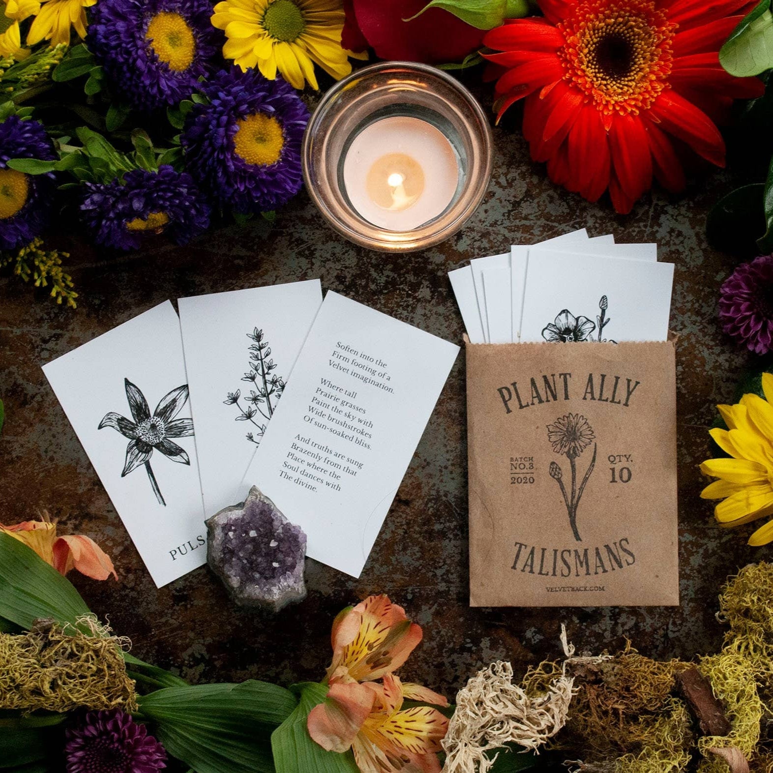Plant Ally Talisman Cards | Vol 3 - DIGS