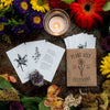 Plant Ally Talisman Cards | Vol 3 - DIGS