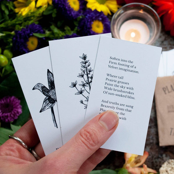 Plant Ally Talisman Cards | Vol 3 - DIGS