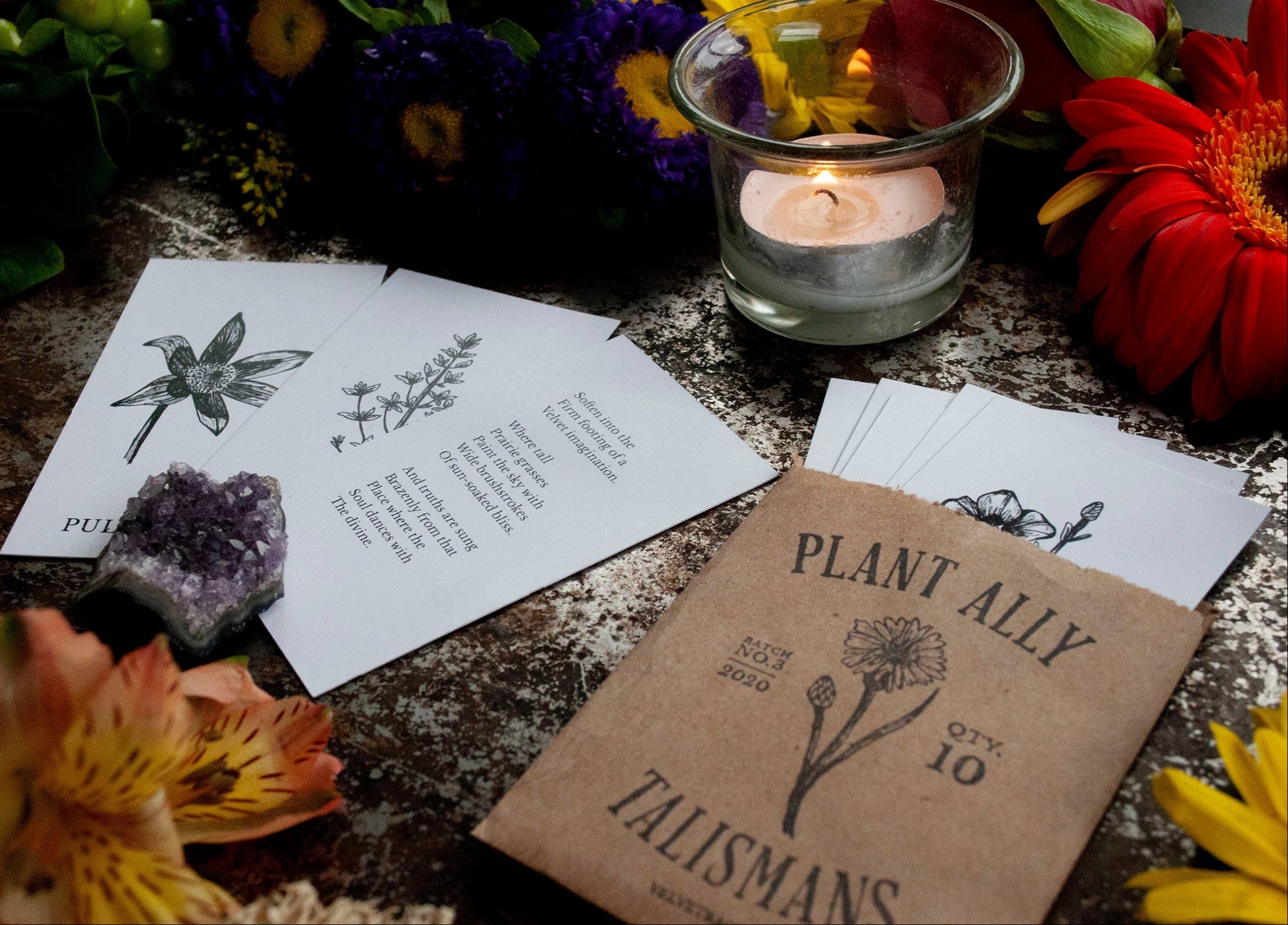 Plant Ally Talisman Cards | Vol 3 - DIGS