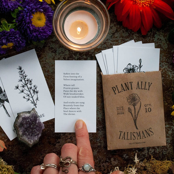 Plant Ally Talisman Cards | Vol 3 - DIGS