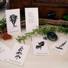 Plant Ally Talisman Cards | Vol 3 - DIGS