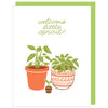 Plant Sprout Baby Card - DIGS