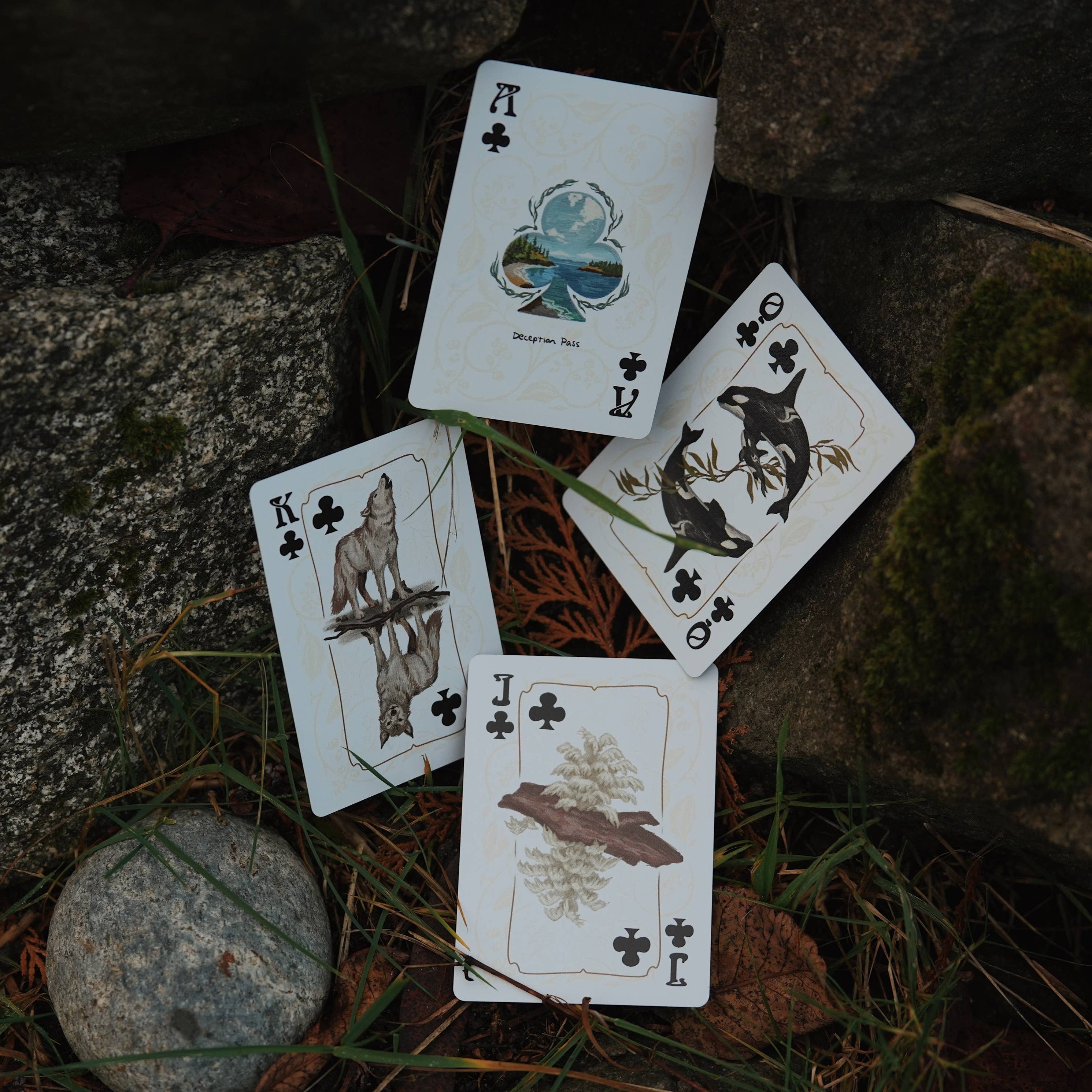PNW Mist Playing Cards - DIGS