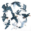 PNW Sea Birds Garland - DIGS