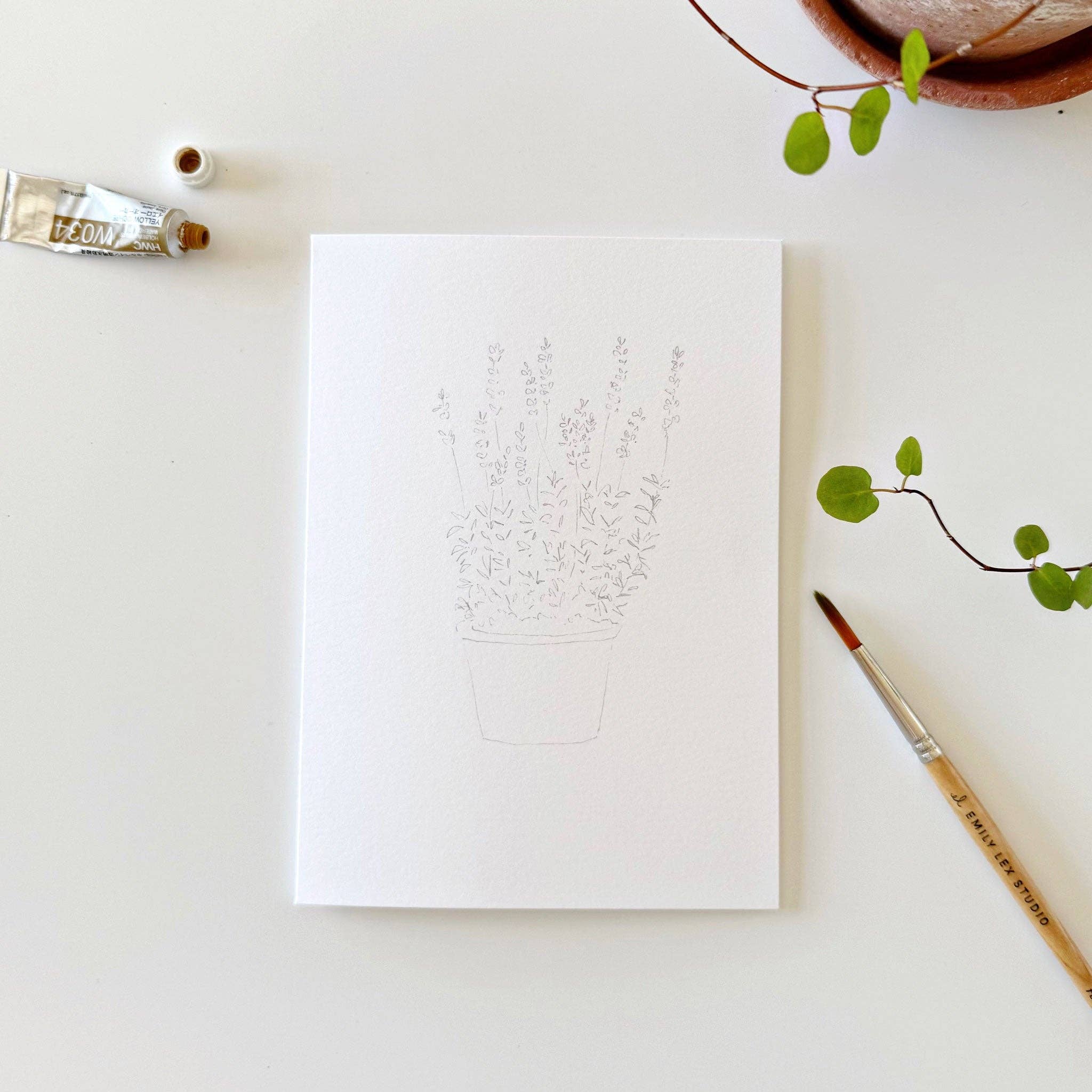 Potted Plants Paintable Notecards - DIGS