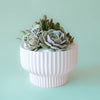 Presley Pedestal Planter - DIGS
