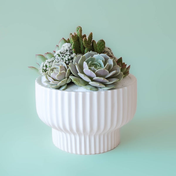 Presley Pedestal Planter - DIGS