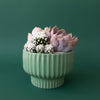 Presley Pedestal Planter - DIGS