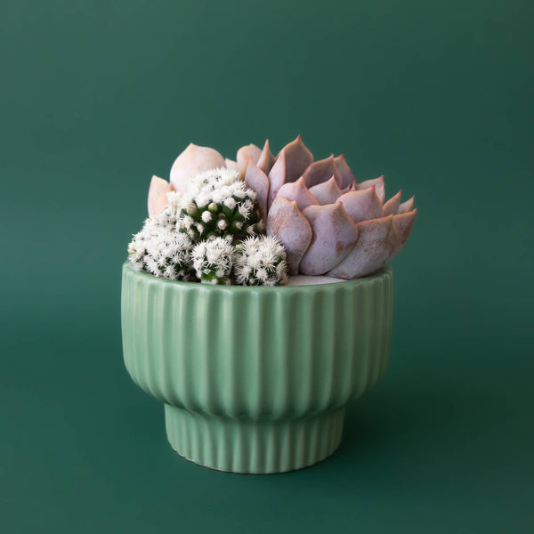 Presley Pedestal Planter - DIGS