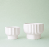 Presley Pedestal Planter - DIGS