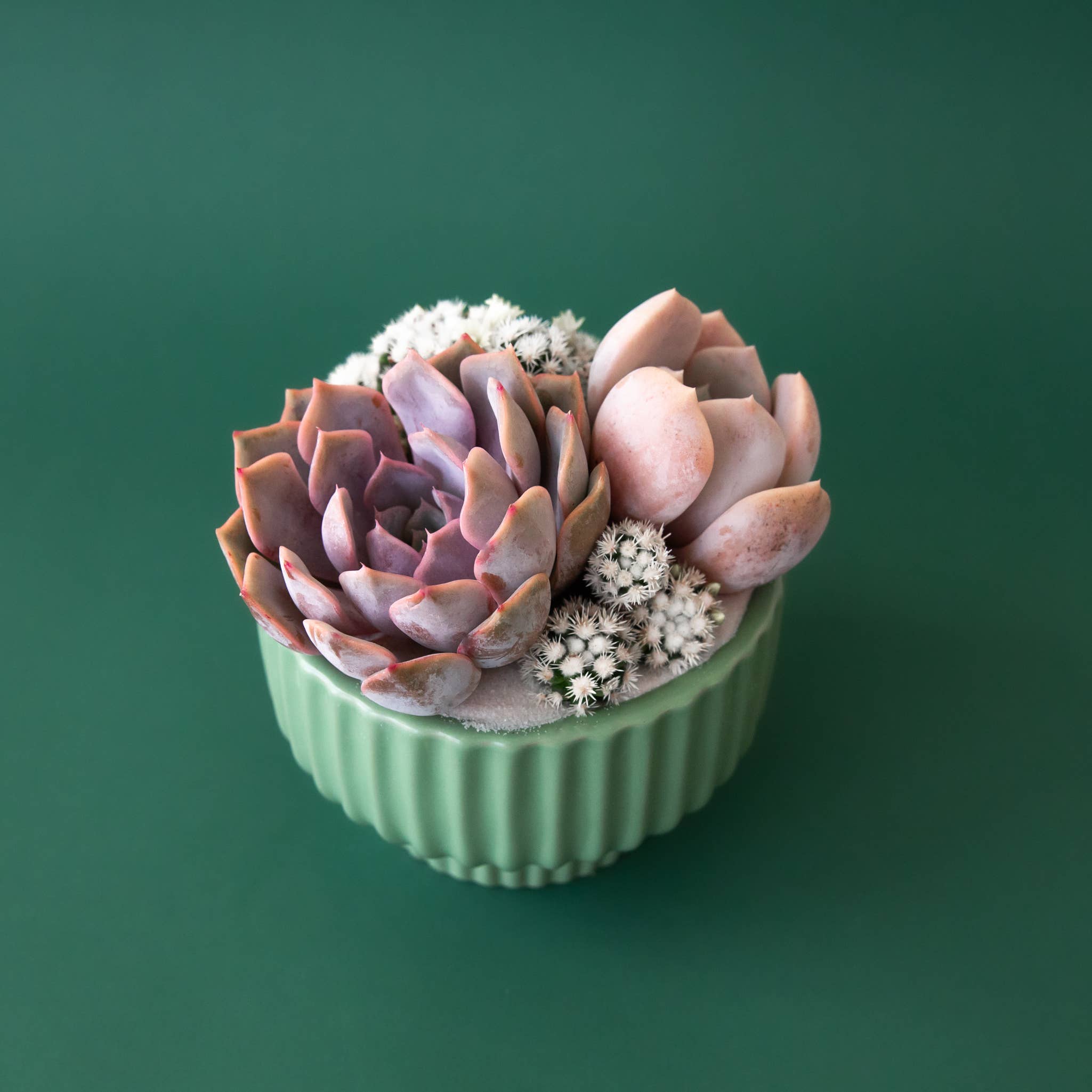 Presley Pedestal Planter - DIGS