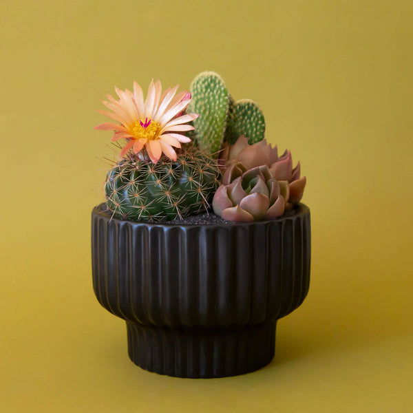 Presley Pedestal Planter - DIGS