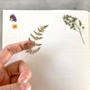 Pressed Flowers Sticker Sheet - DIGS