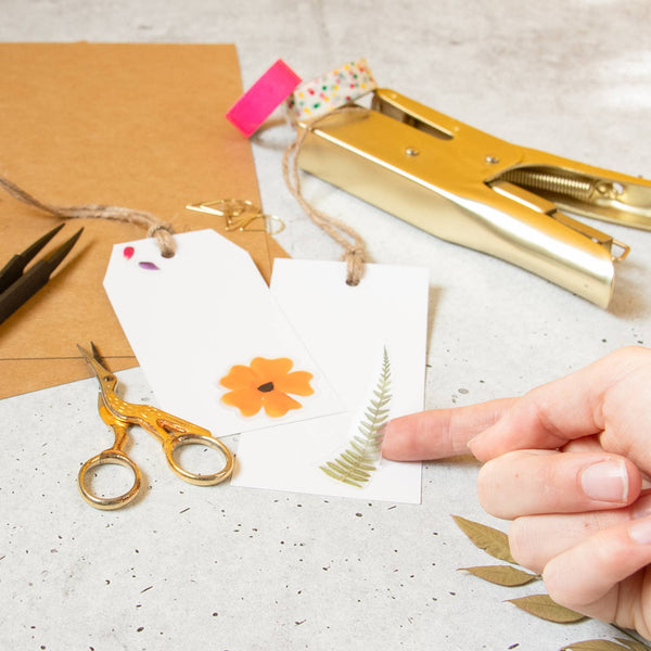 Pressed Flowers Sticker Sheet - DIGS