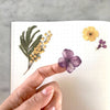Pressed Flowers Sticker Sheet - DIGS