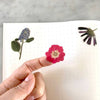 Pressed Flowers Sticker Sheet - DIGS