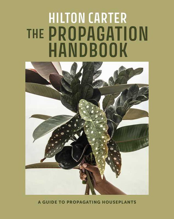 Propagation Handbook - DIGS