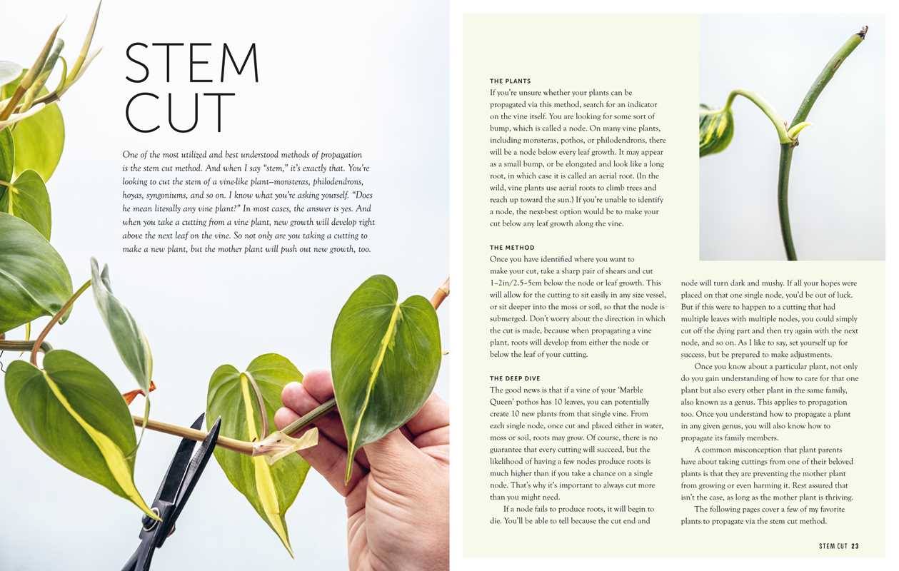 Propagation Handbook - DIGS