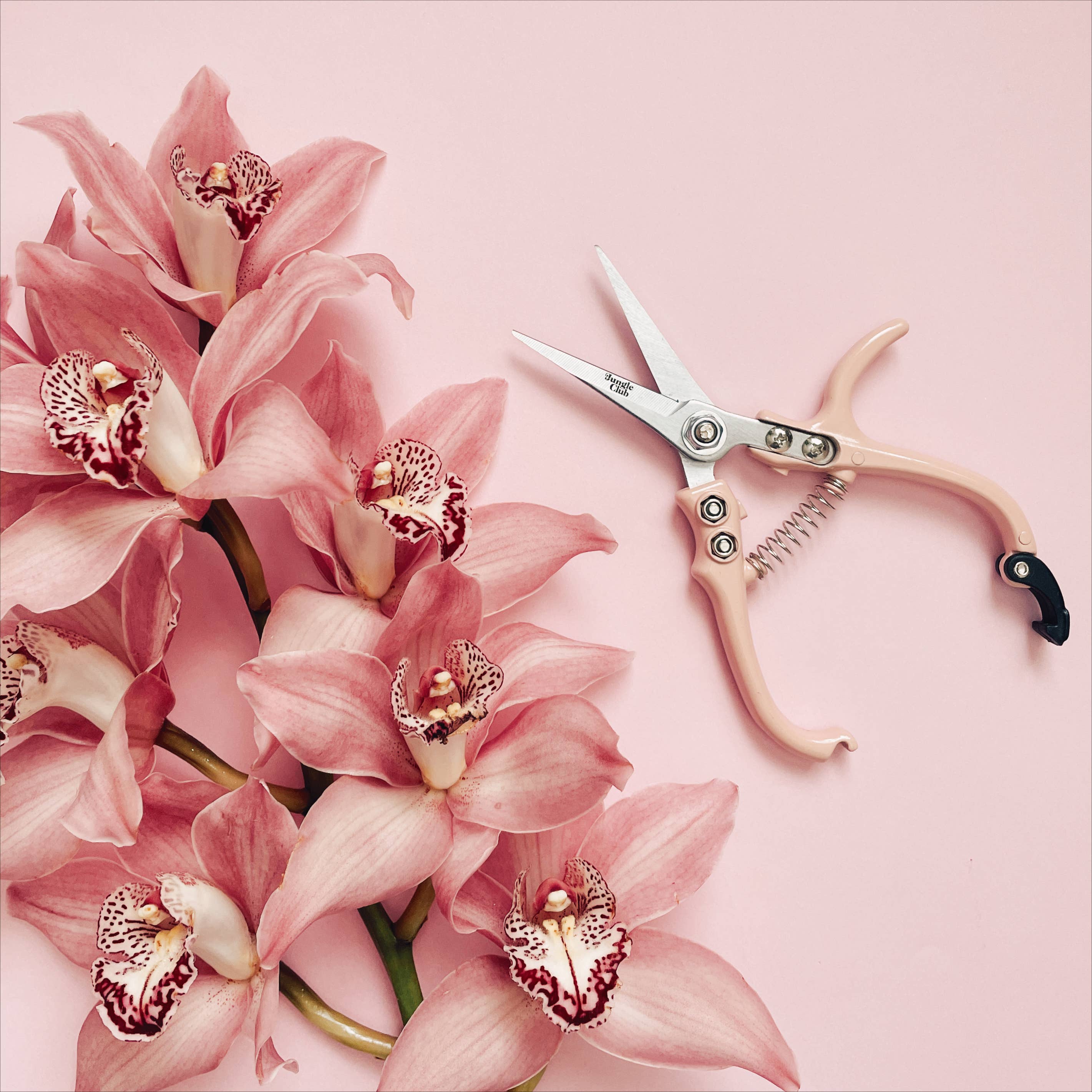 Pruning Shears - DIGS