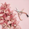 Pruning Shears - DIGS