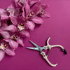 Pruning Shears - DIGS