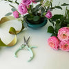 Pruning Shears - DIGS