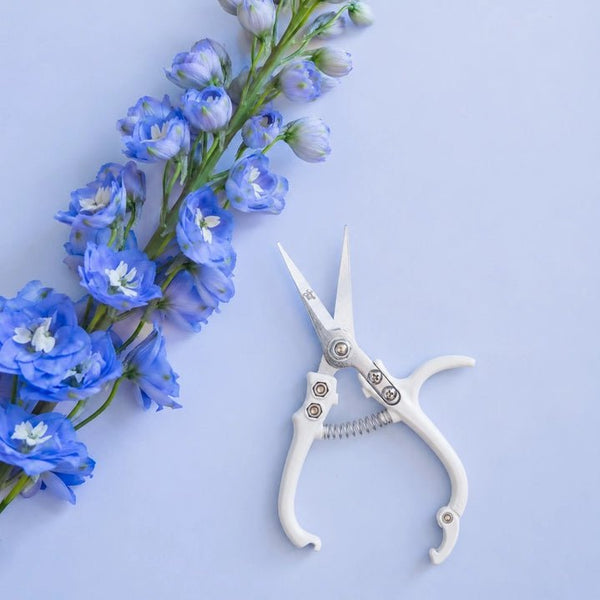 Pruning Shears - DIGS