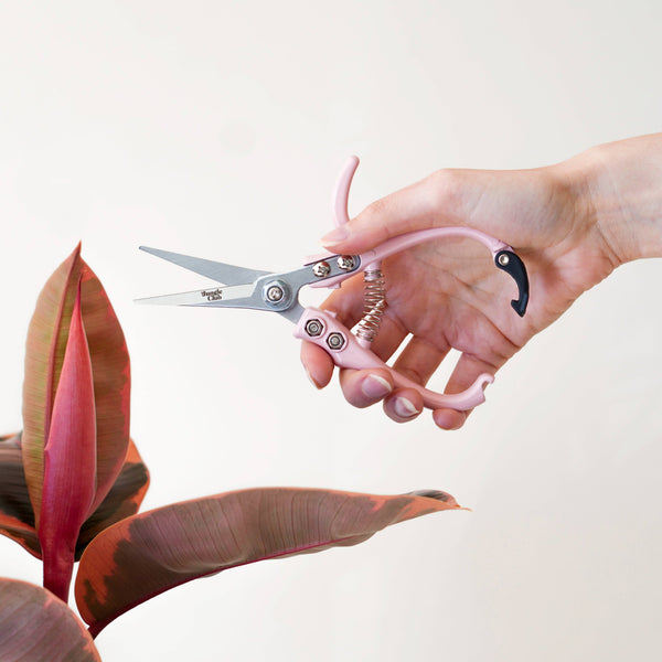 Pruning Shears - DIGS