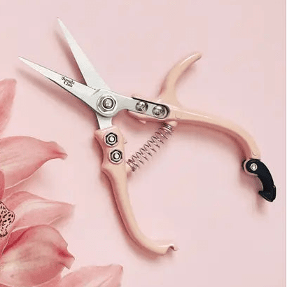 Pruning Shears - DIGS