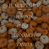 Pumpkin Spice Candle - DIGS