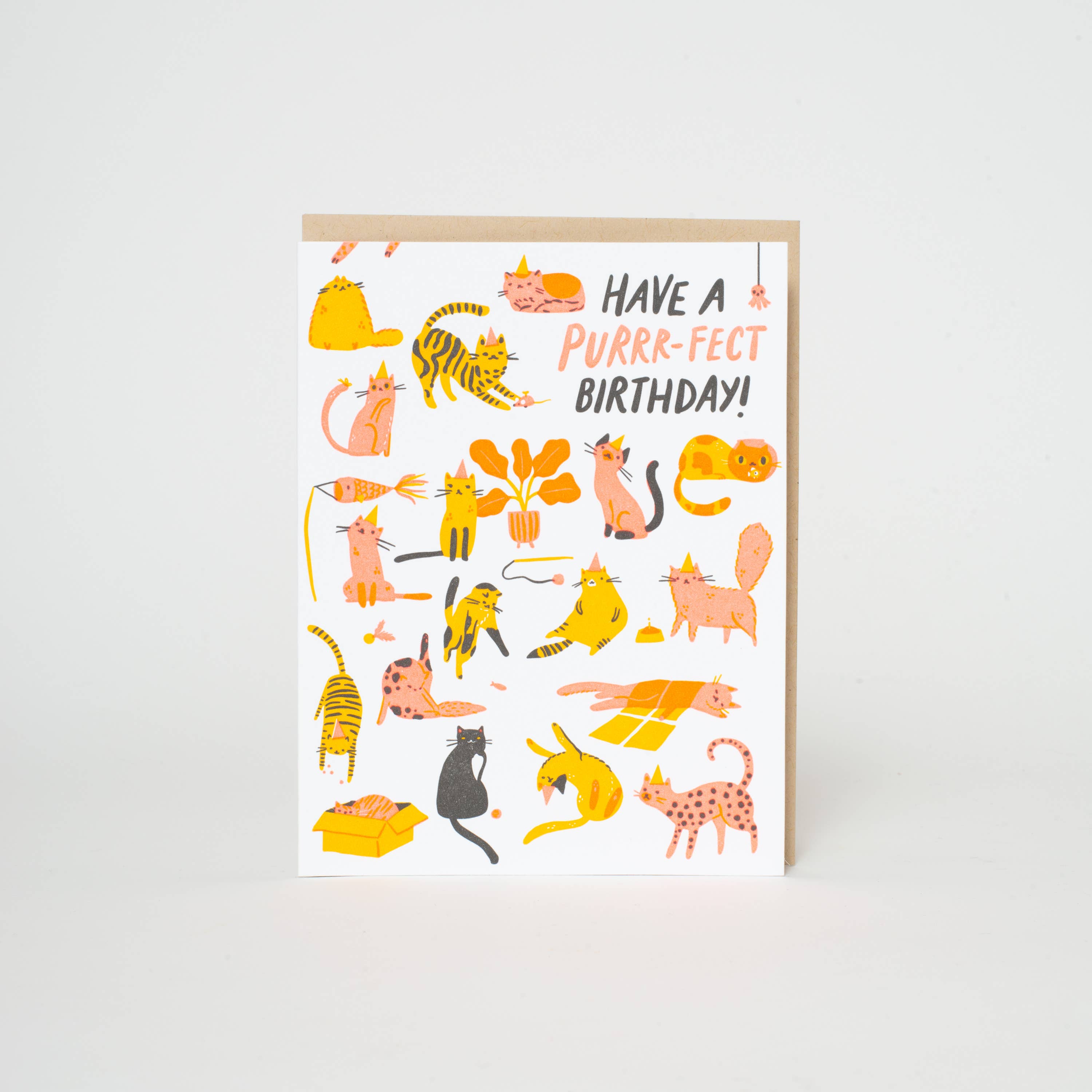 Purr - fect Cats Birthday Card - DIGS