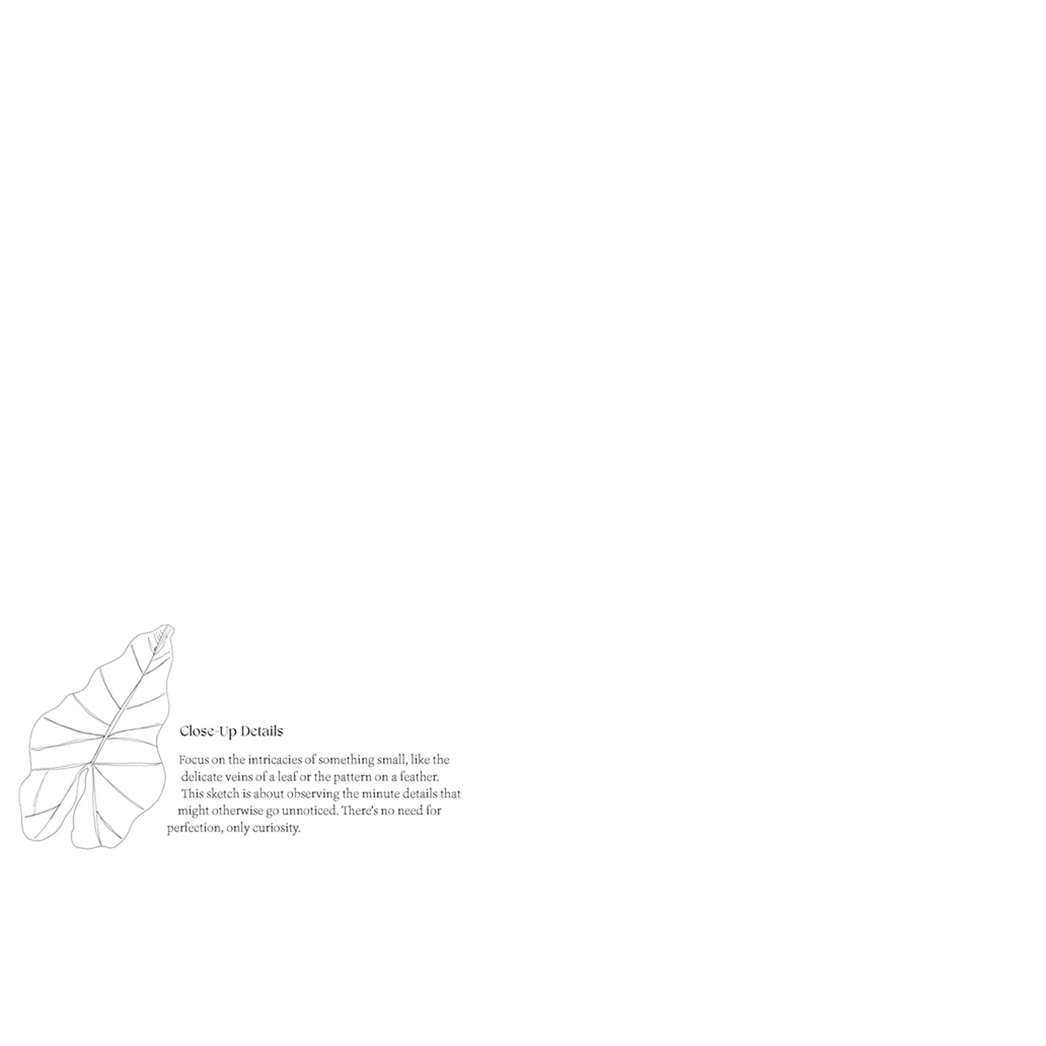Quiet Moments: A Guided Sketchbook - DIGS