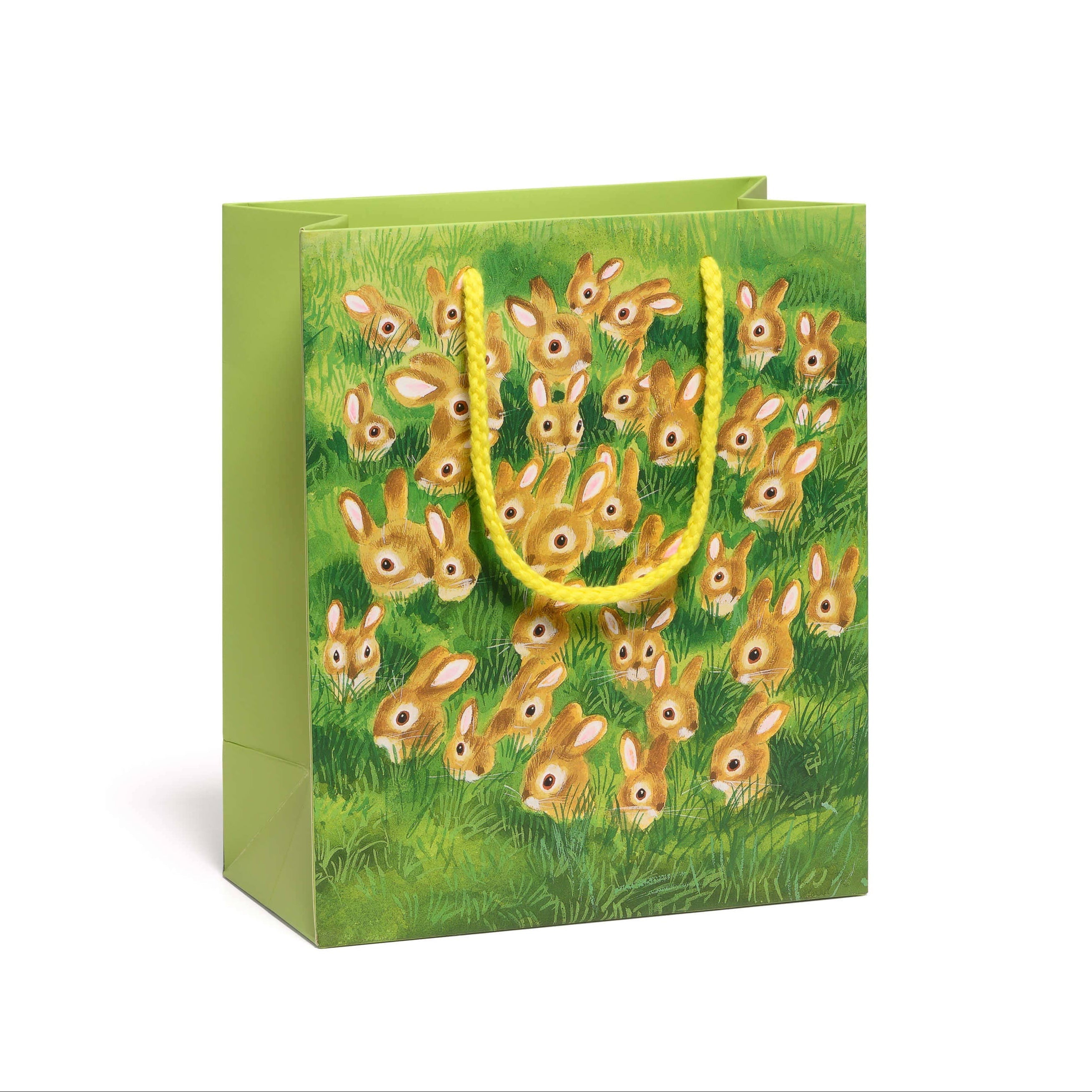 Rabbit Family Gift Bag - DIGS