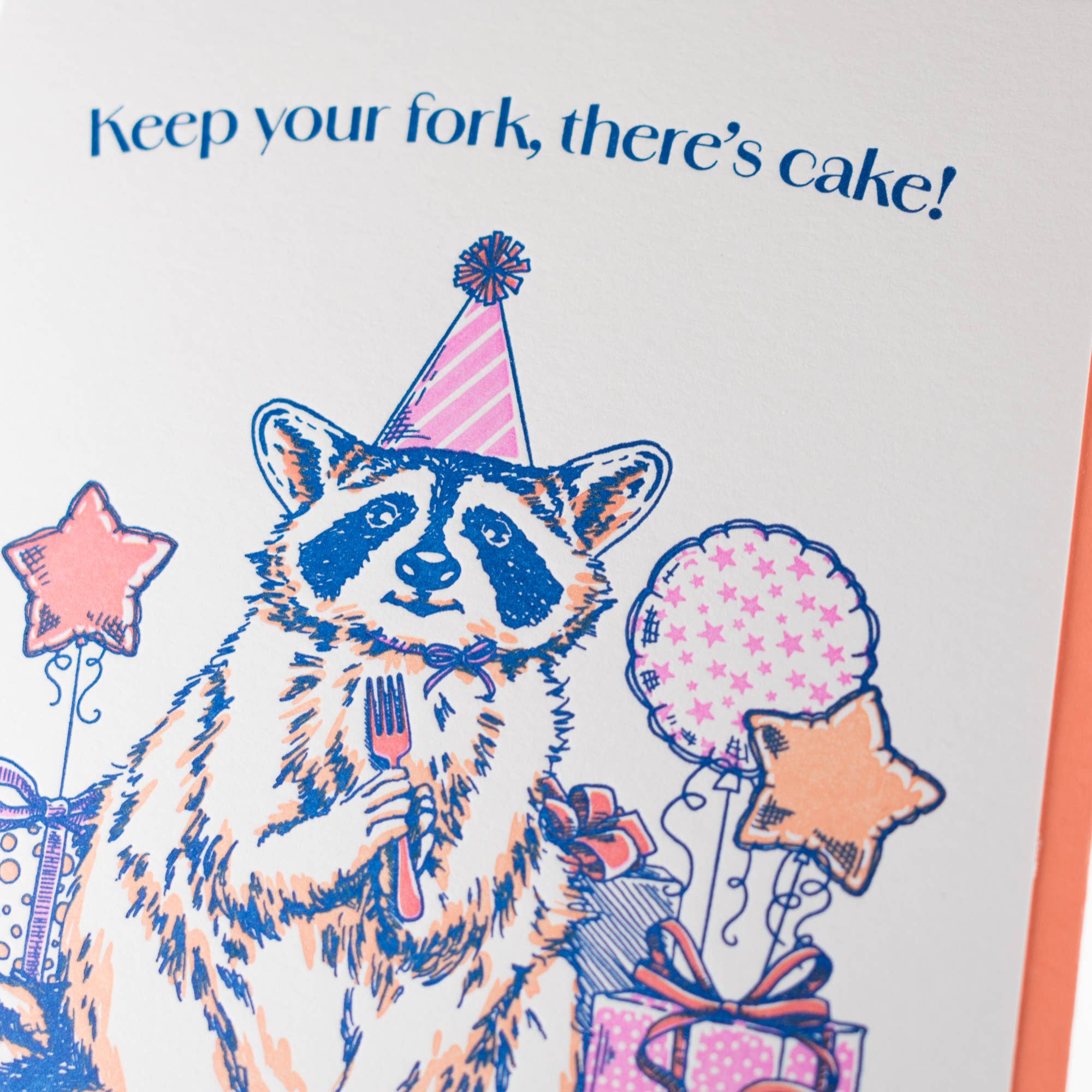 Raccoon Birthday Card - DIGS