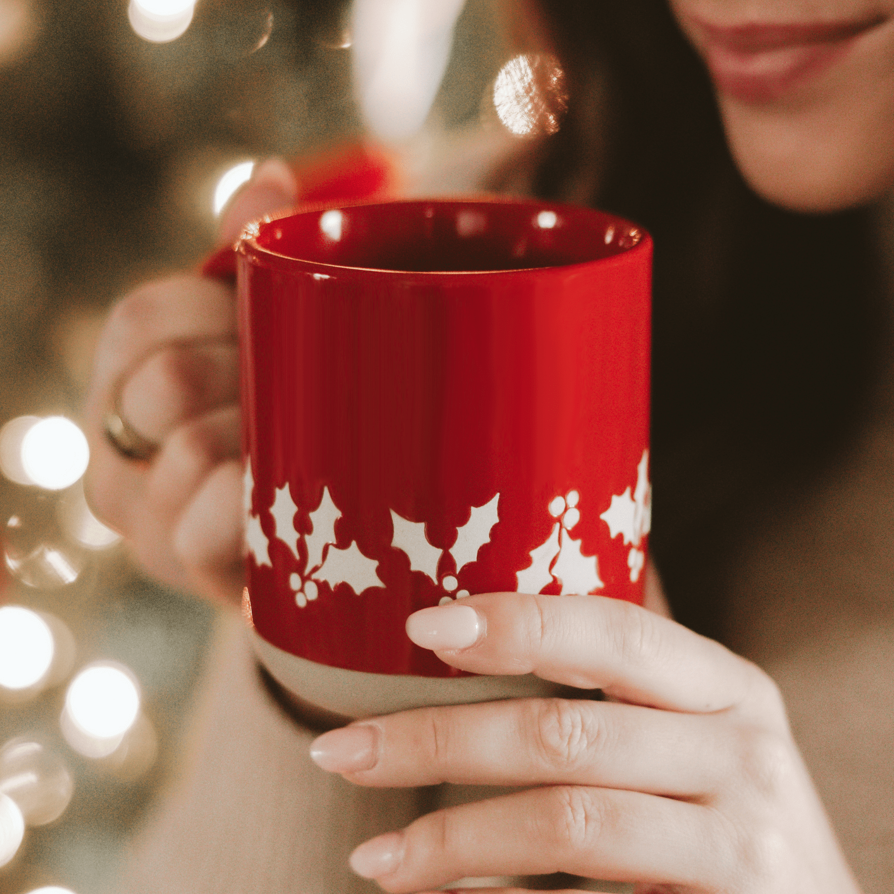 Red Holly Stoneware Mug - DIGS
