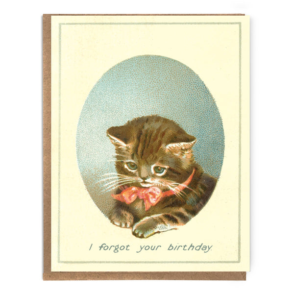 Sad Cat Belated Birthday Card - DIGS