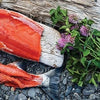 Salmon Sisters: Harvest & Heritage Seasonal Recipes - DIGS