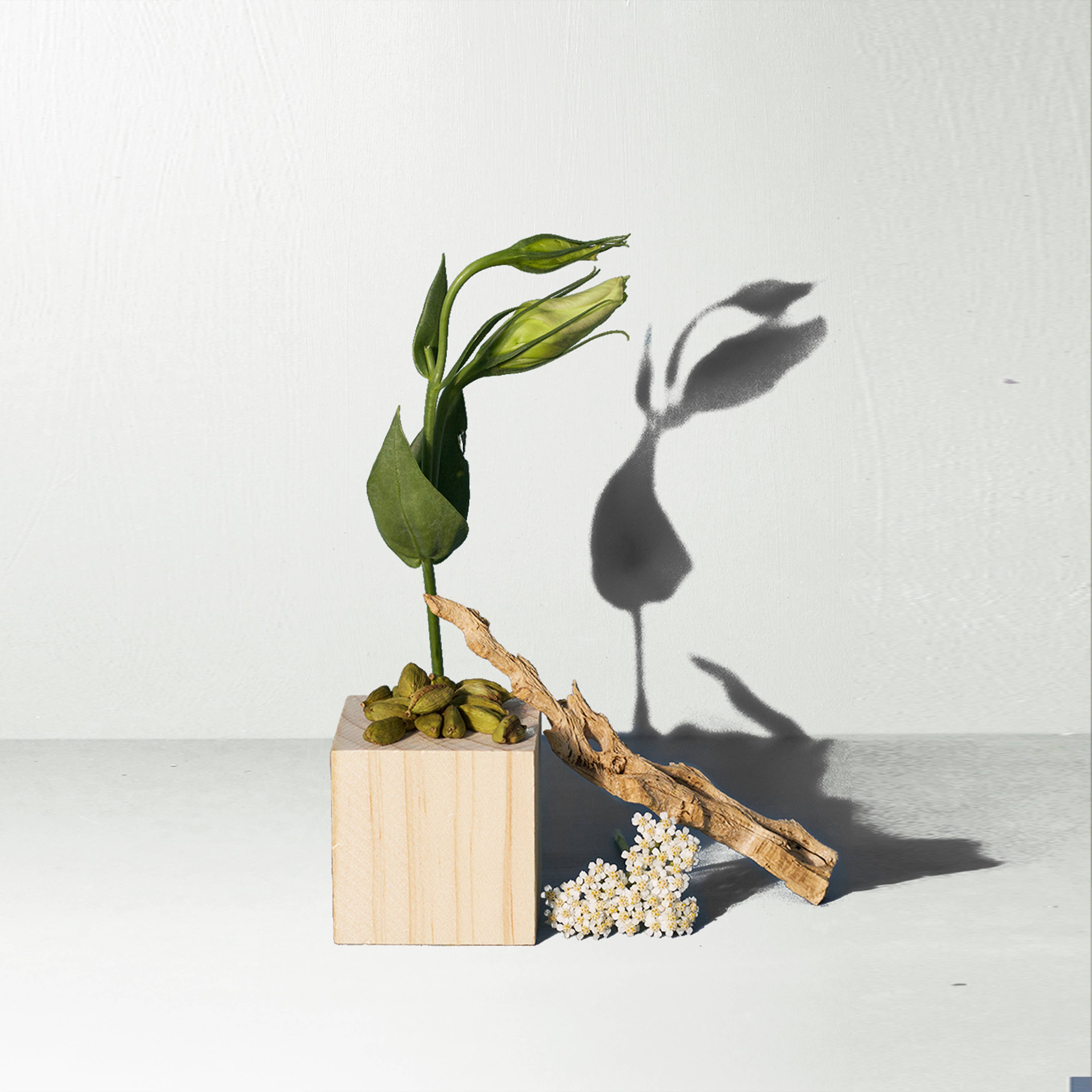 Santal Mini Candle - DIGS