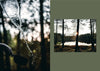 SAUNA - DIGS