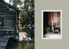 SAUNA - DIGS