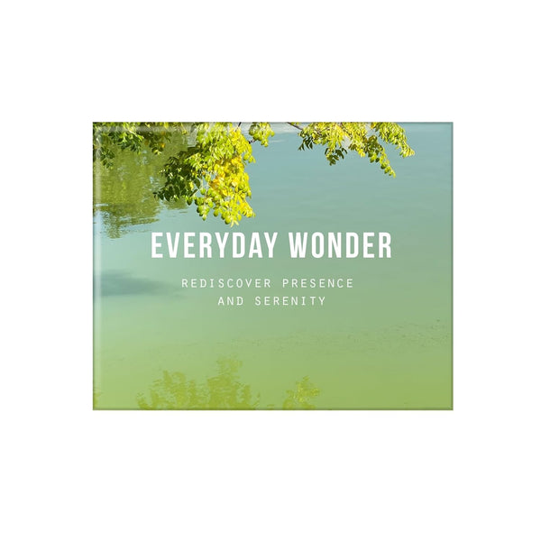 School of Life: Everyday Wonder - DIGS
