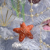 Sea Shimmer Starfish Ornament - DIGS