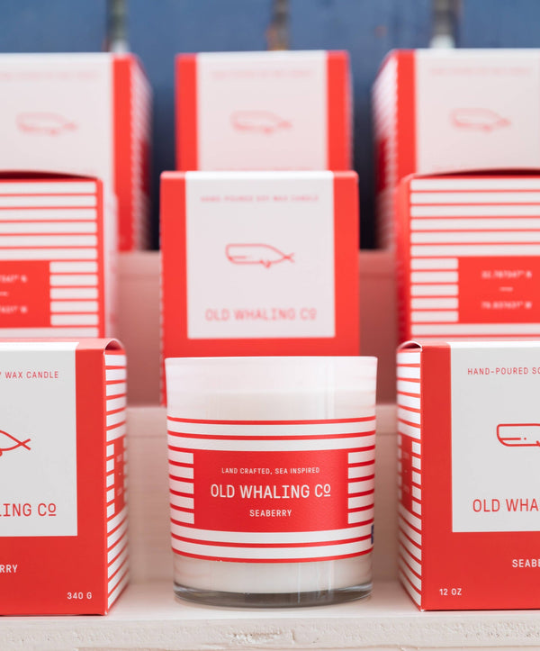 Seaberry Candle - DIGS